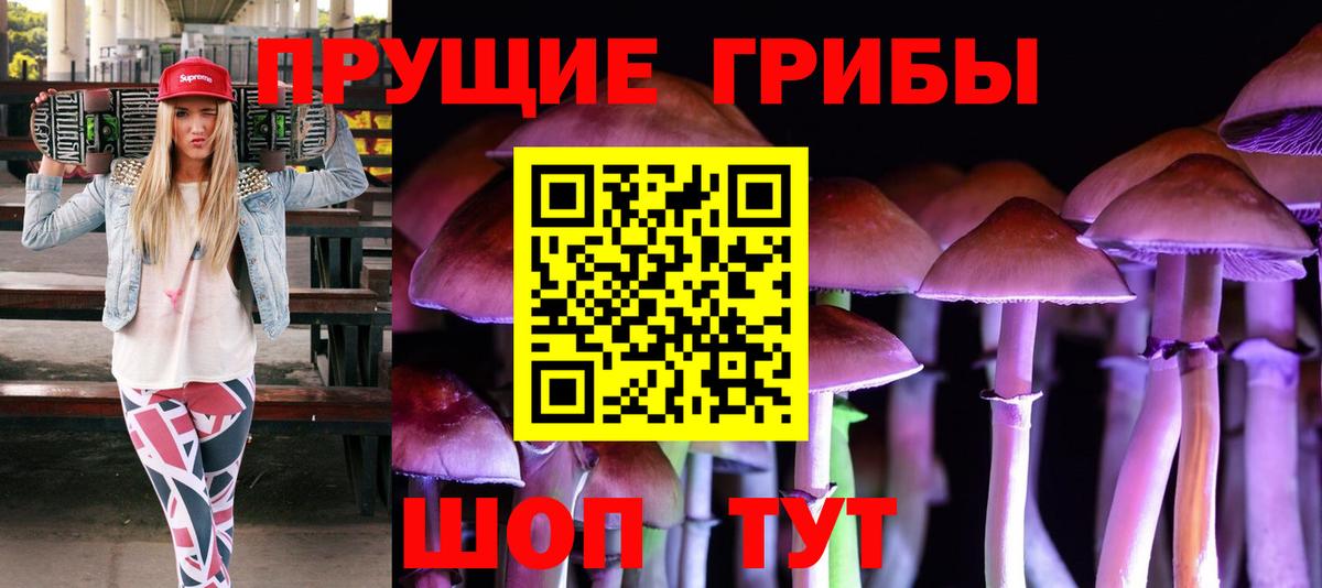 Псилоцибиновые грибы Psilocybine cubensis Ишим